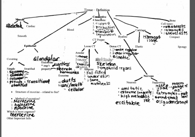 Screen Shot 2012-12-17 at 5.32.49 PM.png