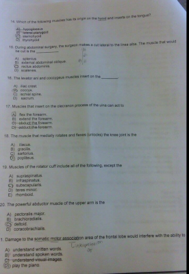 Screen Shot 2015-03-10 at 3.32.24 PM.png