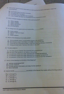 Screen Shot 2015-03-10 at 3.32.00 PM.png