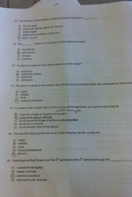 Screen Shot 2015-03-10 at 3.31.46 PM.png