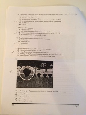 IMG_0974 [1446008].JPG