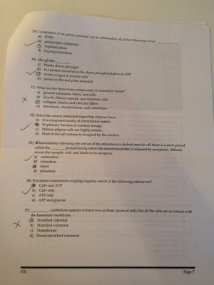 IMG_0977 [1445894].JPG