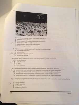 IMG_0979 [1445896].JPG