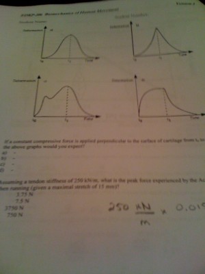 EDKP midterm 005.JPG