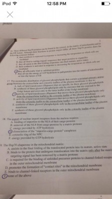 14923905_1142829452467064_1867528144_o 6.28.41 PM.jpg