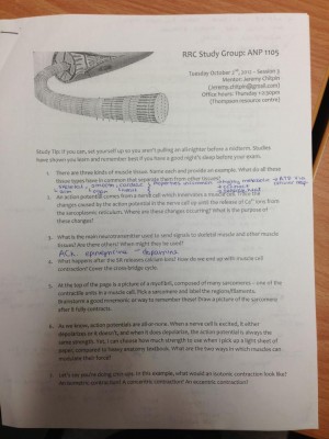 study group muscle notes.jpg