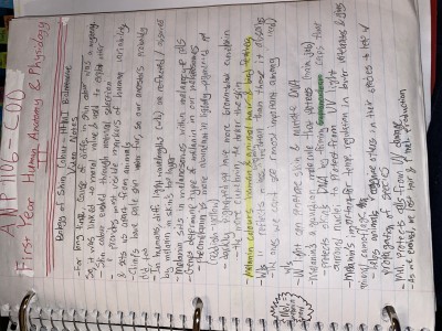 1 - Biology of Skin Video Colour Notes.jpg